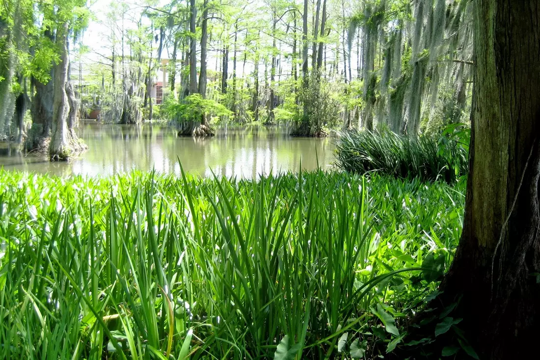 History of Cypress Lake in Louisiana