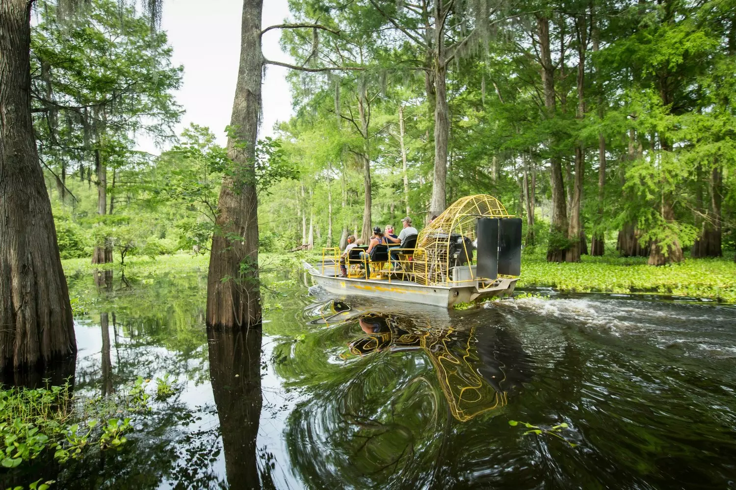 Swamp Adventure in Jean Lafitte Park | Louisiana Wetlands Boat Tour Swamp tour boat gliding through the murky waters of Jean Lafitte National Park, surrounded by cypress trees, Spanish moss, and lush wetlands