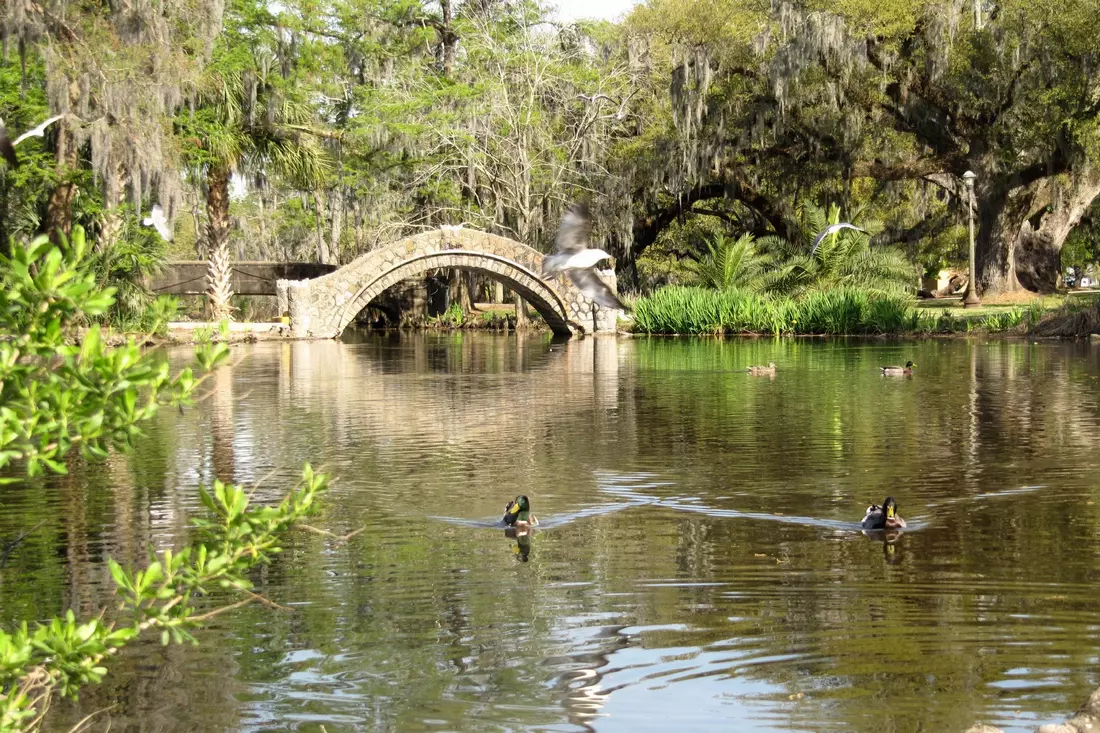 Фотография City Park в New Orleans — American Butler