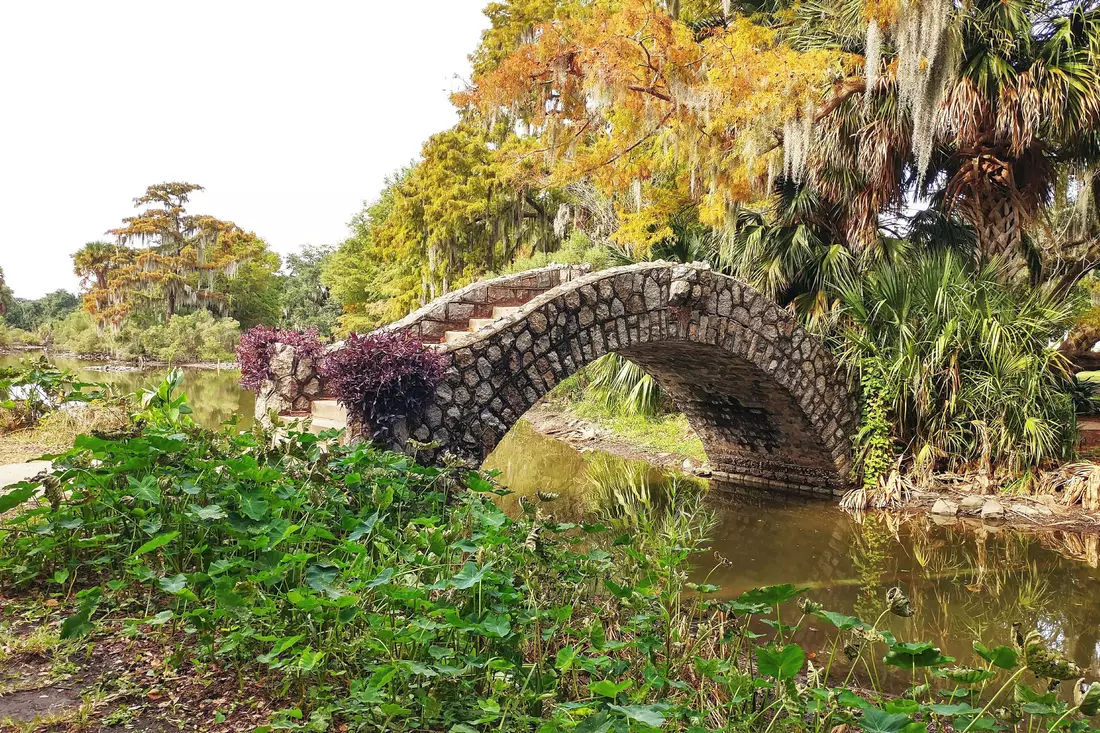 A stone arch bridge surrounded by tropical vegetation in City Park, New Orleans