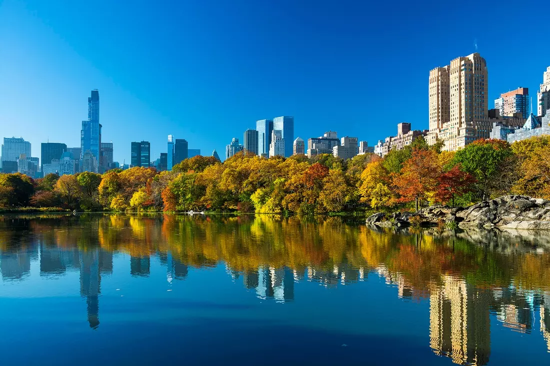 Photo of Central Park in New York