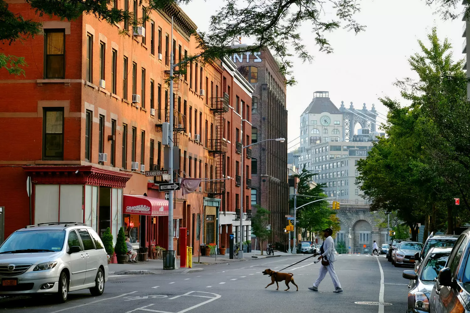 Charming Brooklyn Streets: Cozy Corners & Brownstone Beauty Quaint tree-lined street in Brooklyn with historic brownstones, autumn leaves, and warm sidewalk cafes