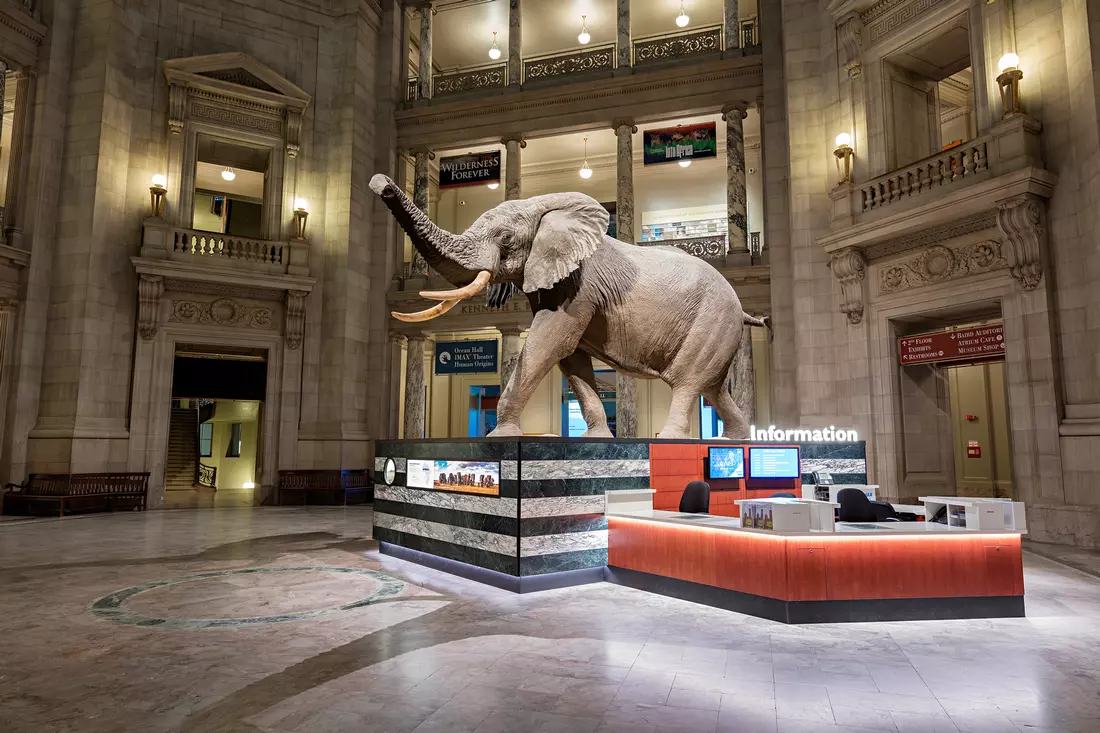 Photo exhibits at the American Museum of Natural History in New York