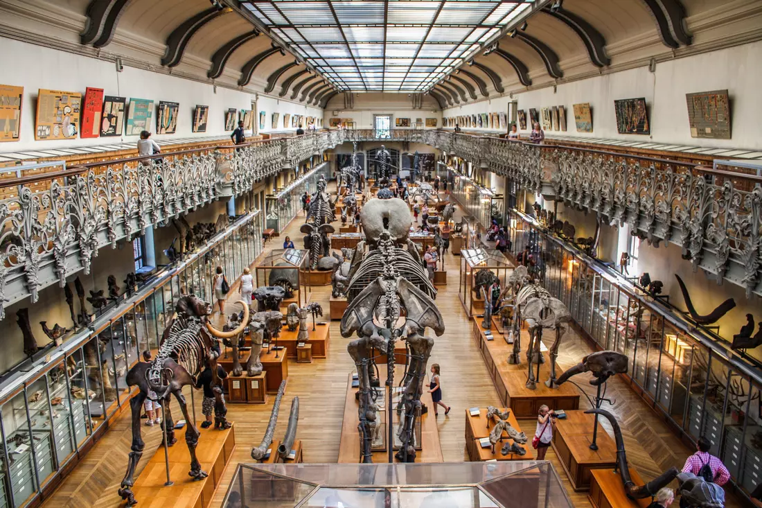 Photo of the exhibition at the American Museum of Natural History