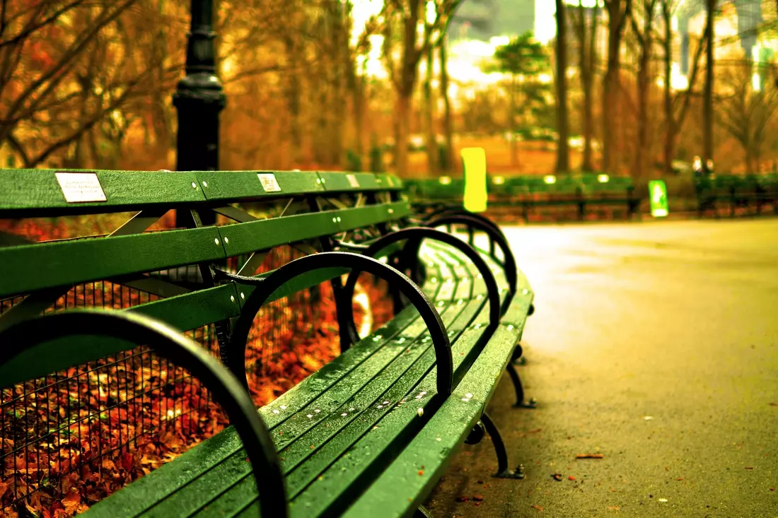 Recreation benches for visitors to New York City Central Park