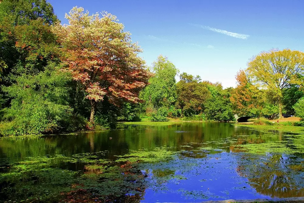 Prospect Park: Your Guide to Brooklyn’s Favorite Green Retreat - American Butler