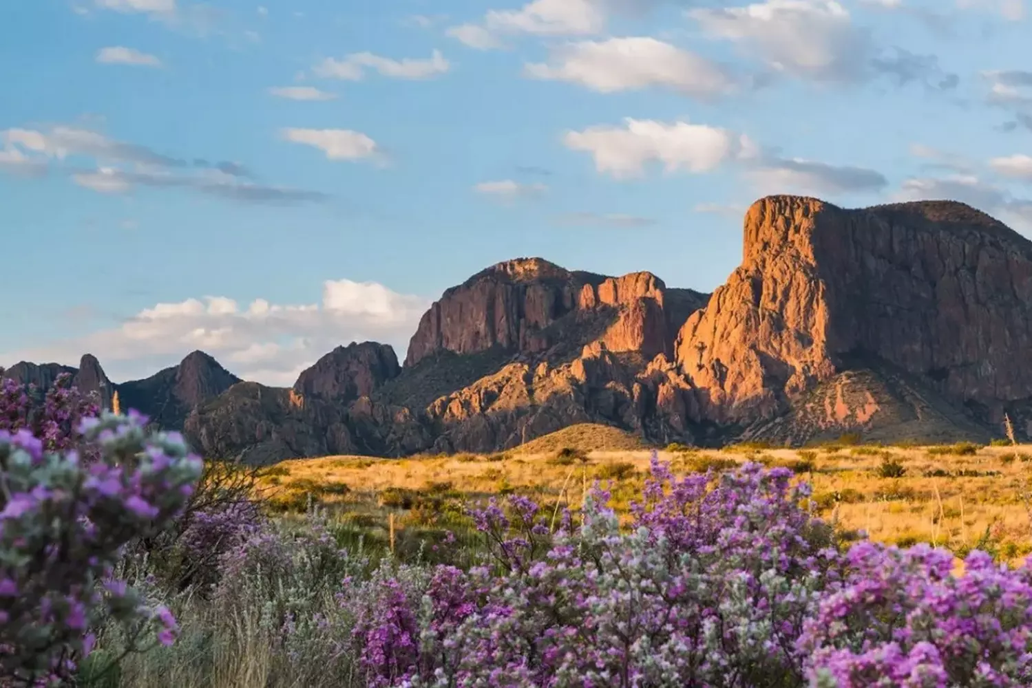 Texas Untamed: Where Endless Skies Meet Rugged Beauty A sweeping landscape of Texas featuring vast open plains, dramatic desert skies, and iconic cactus silhouettes under golden sunlight