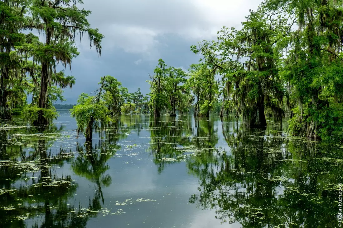 Immerse yourself in the magic of Louisiana: carnivals, cuisine and natural wonders Louisiana carnival culture and marshland