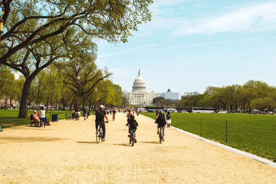 Photo of Capitol in Washington at the National Alley — American Butler