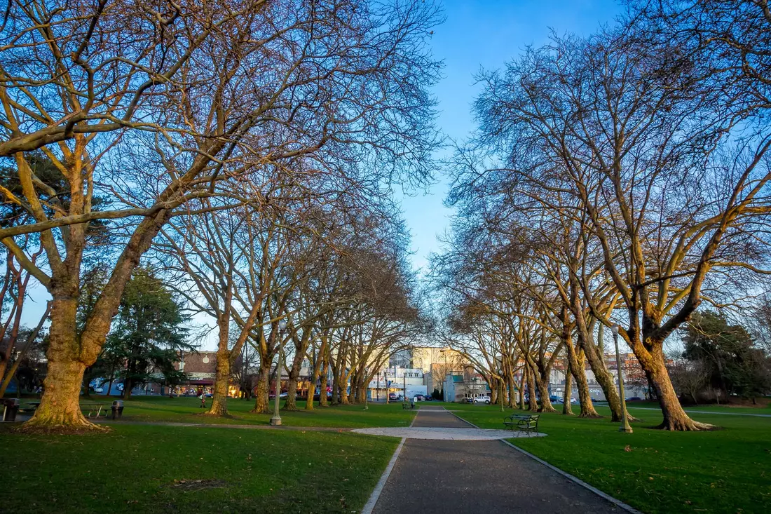 Green Lake Park — прогулочные зоны и парки Сиэтла — American Butler