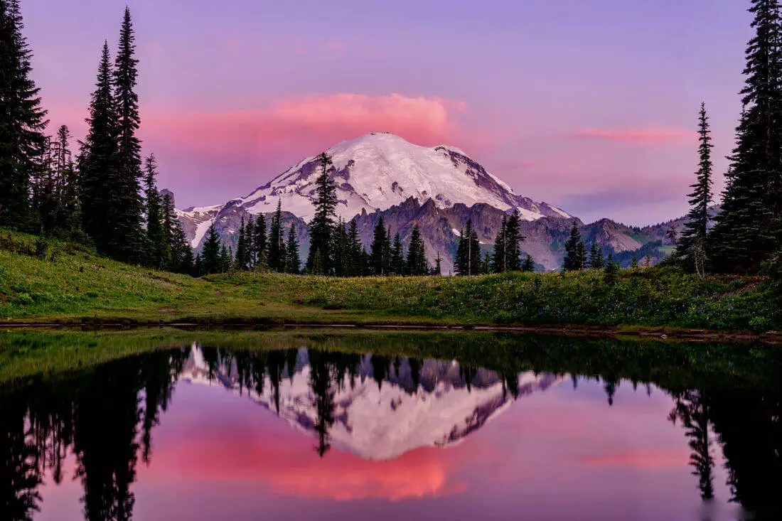 Mount Rainier National Park — American Butler