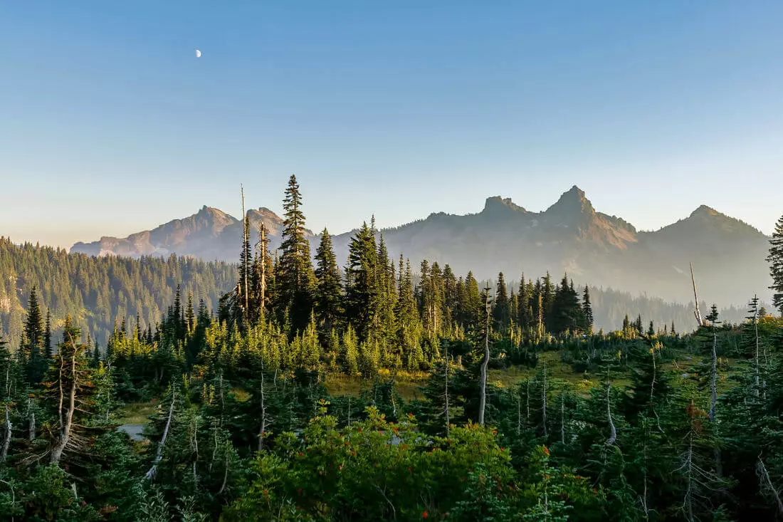 Mount Rainier National Park — American Butler