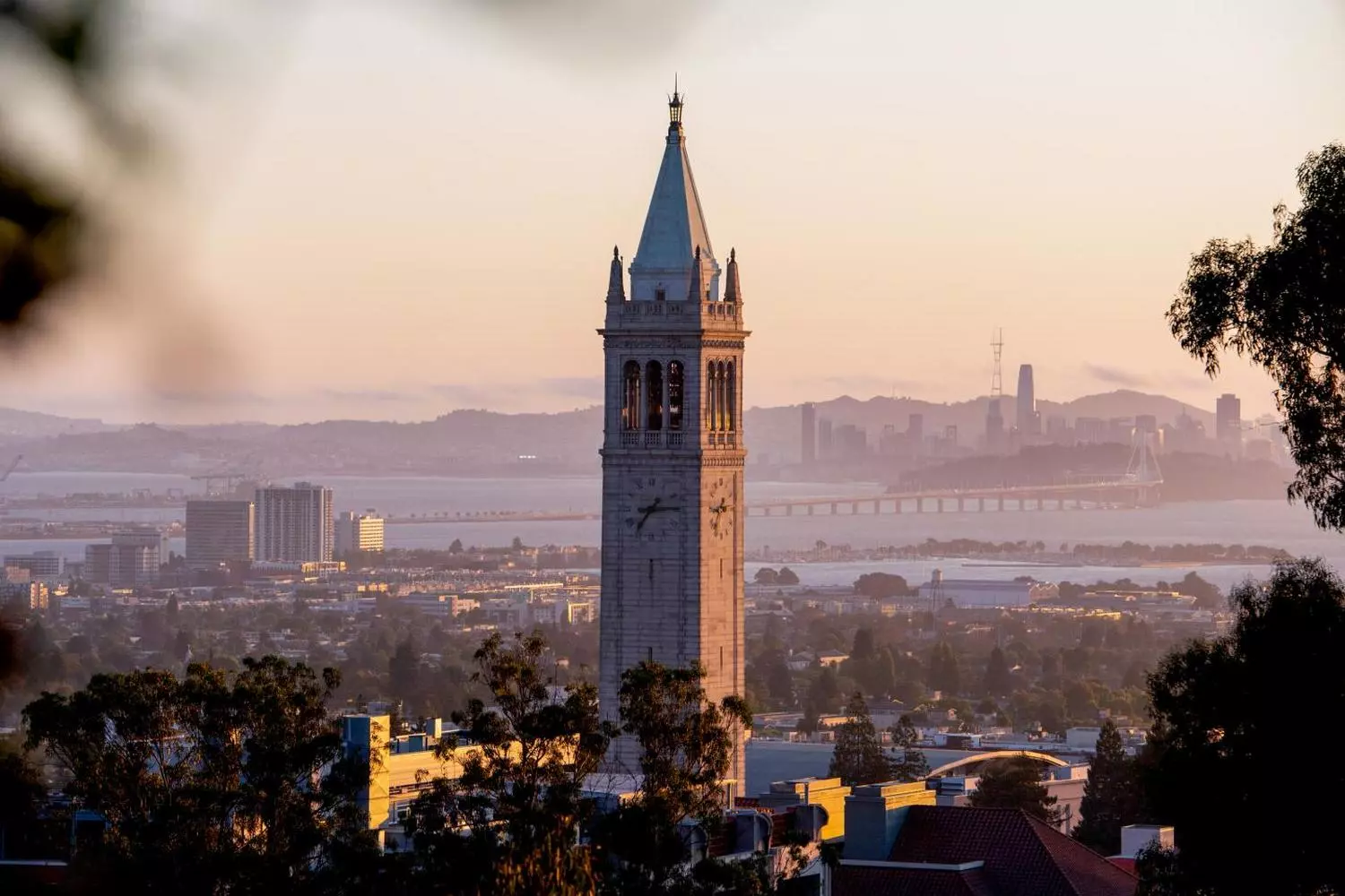 UC Berkeley — всемирно известный университет, формирующий умы Кремниевой долины Вид на кампус Калифорнийского университета в Беркли с культовой башней Сейтер и окружающей зеленью