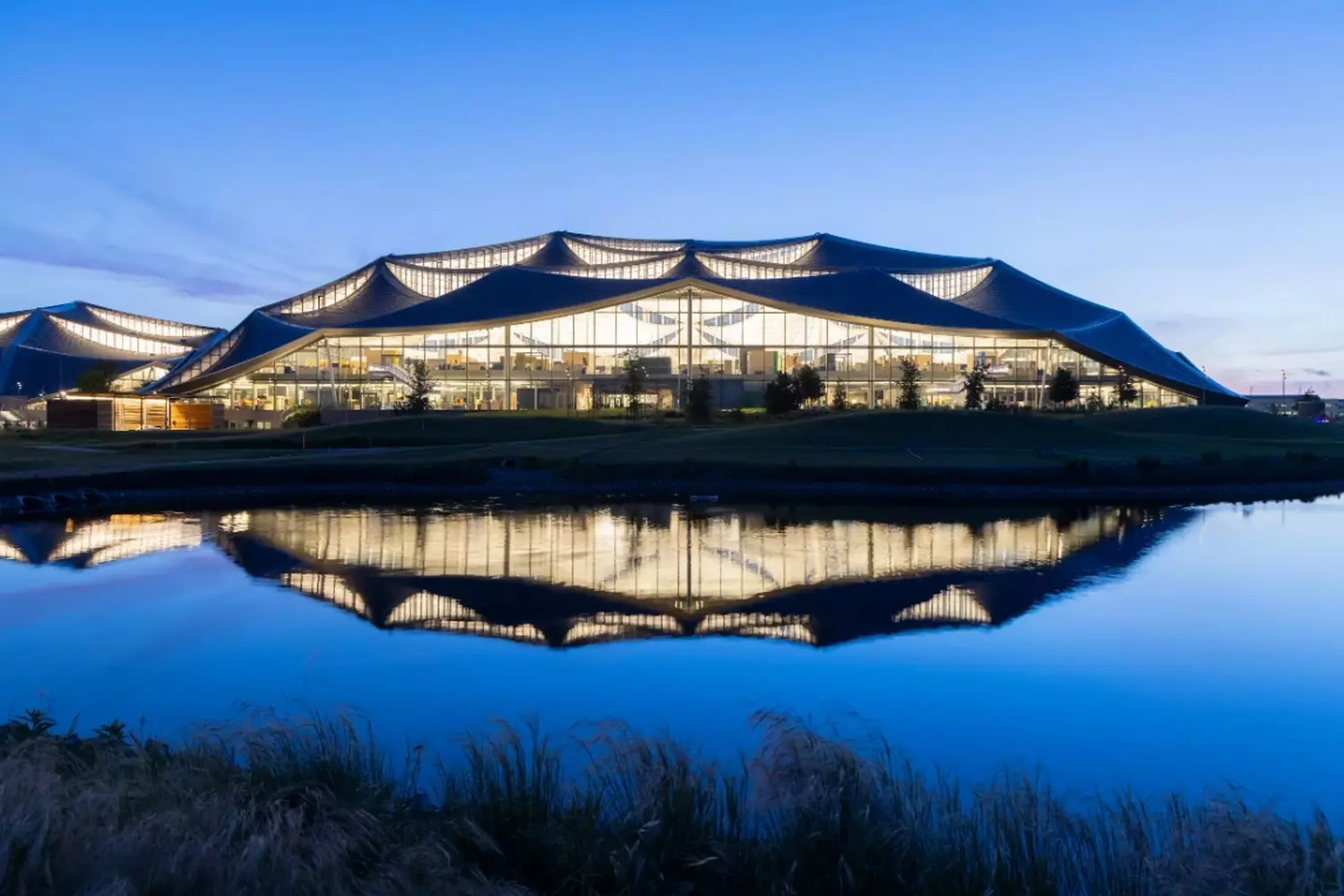 Googleplex — культовая штаб-квартира Google в Кремниевой долине Вид на штаб-квартиру Google — Googleplex в Кремниевой долине