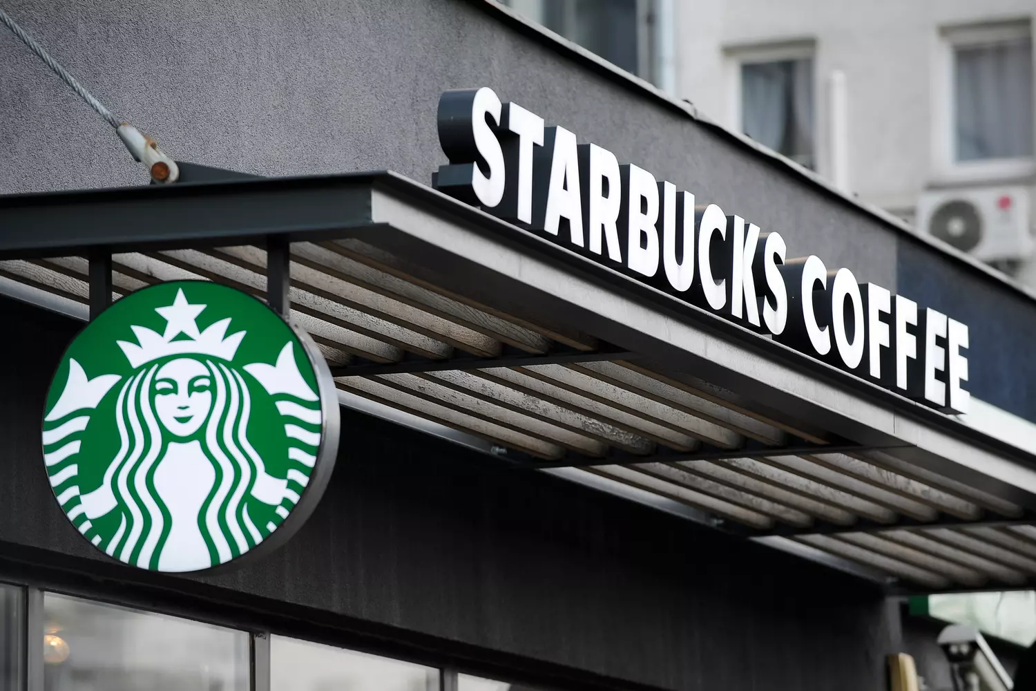 История бренда Starbucks — особенности, популярность марки, качество кофе