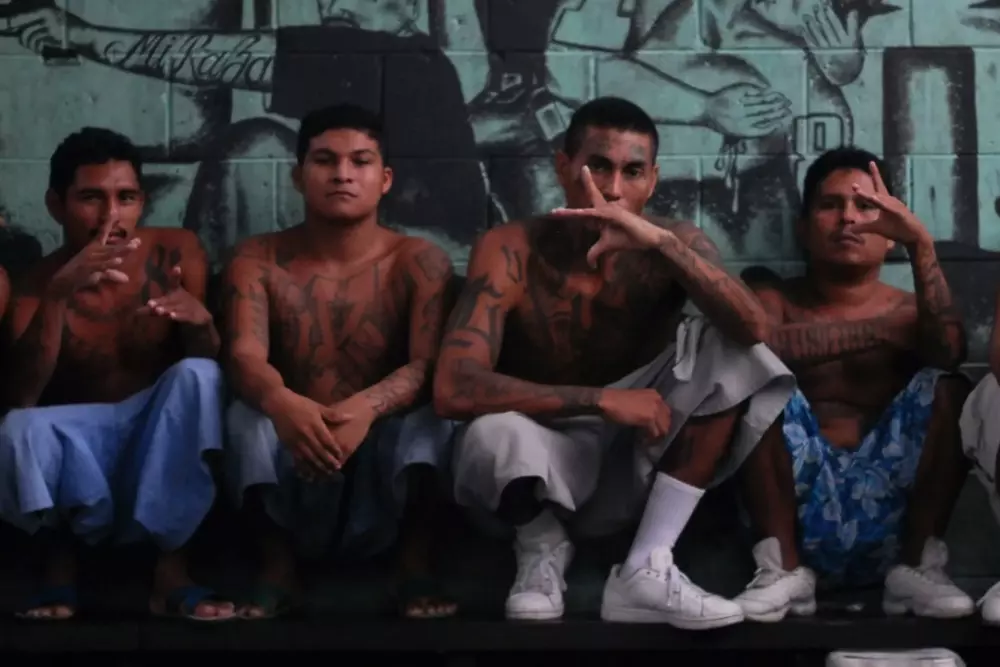 Features of American Culture: Spirit, Traditions, and Customs - American Butler