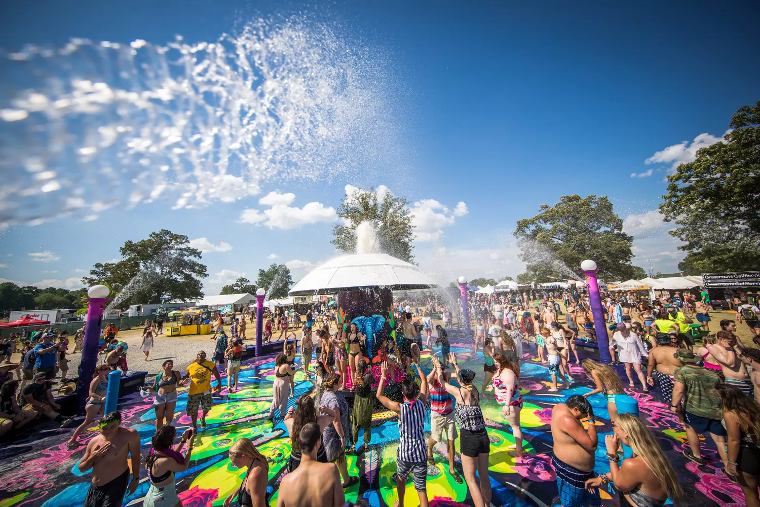 Самые популярные американские фестивали — Bonnaroo Music and Arts Festival — American Butler