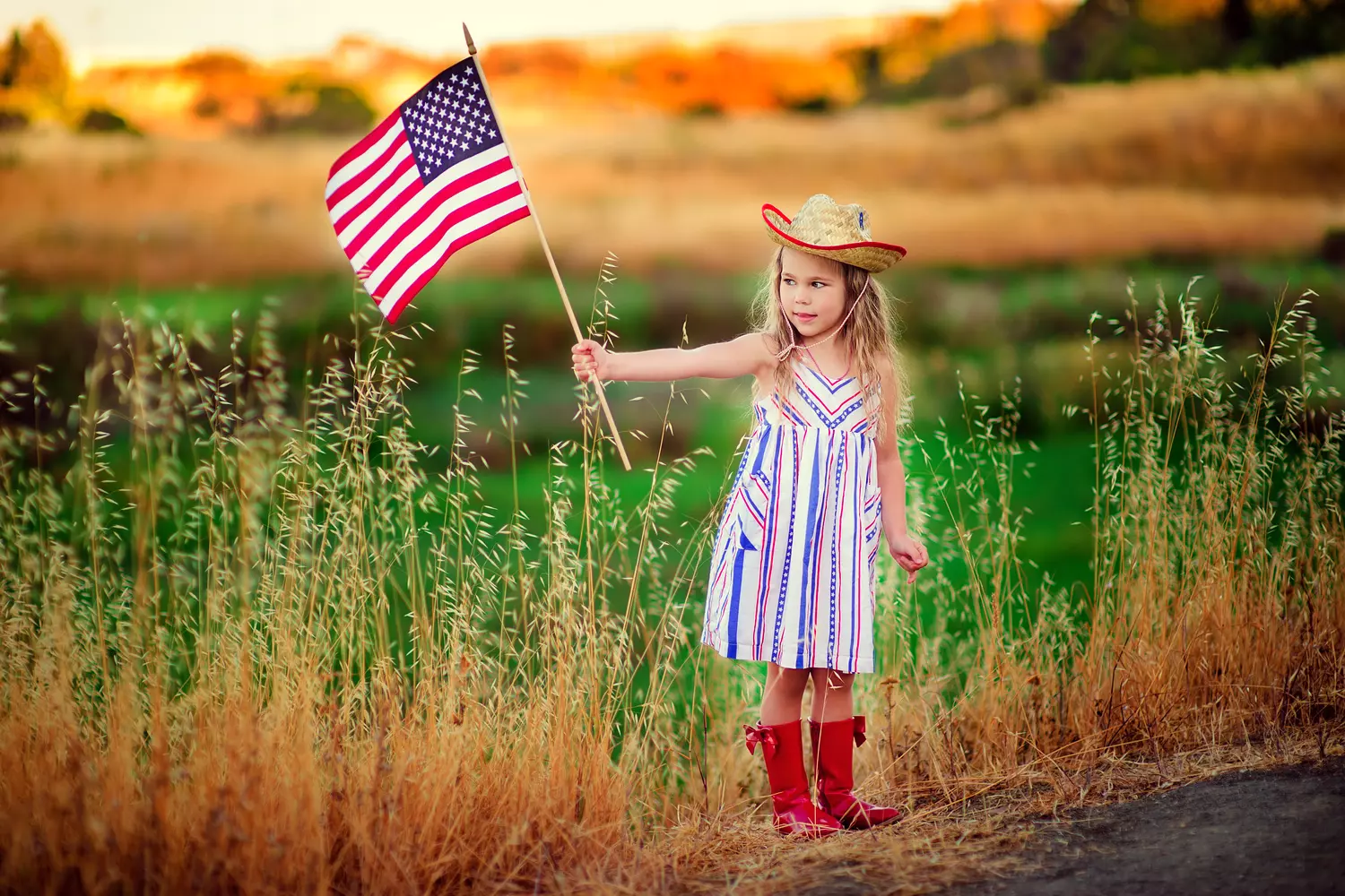 Holidays in the USA: Independence Day, Veterans Day, Memorial Day — American Butler