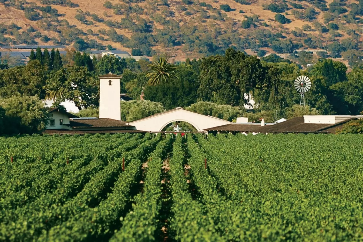Винодельня Robert Mondavi: колыбель калифорнийского виноделия Знаменитая винодельня Robert Mondavi в стиле испанской миссии среди виноградников Напы — место, где родилось современное виноделие Калифорнии