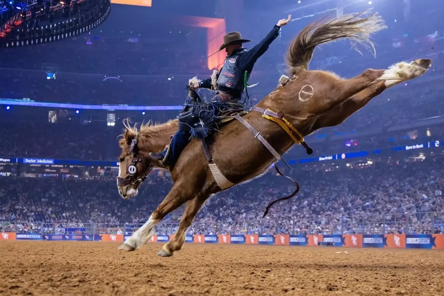 Houston Livestock Show and Rodeo: The World’s Largest Rodeo and Livestock Exhibition A vibrant scene at the Houston Livestock Show and Rodeo inside NRG Stadium, featuring rodeo performers in action, livestock displays, and a large audience enjoying the event under stadium lights