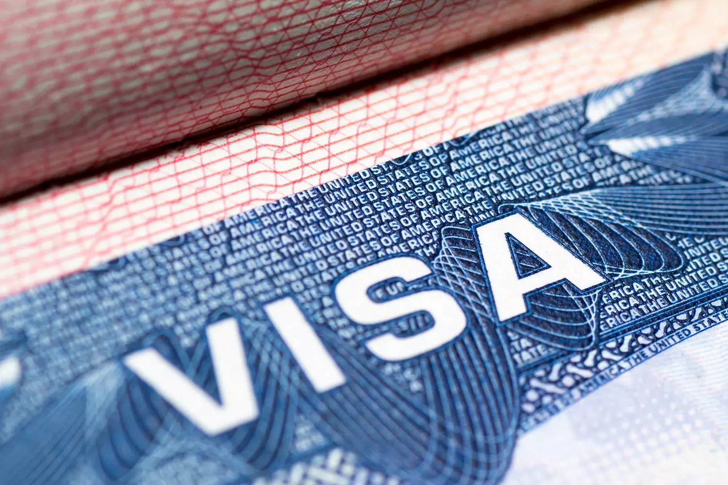 Nonimmigrant visas to the United States: how to apply for a US visa — American Butler