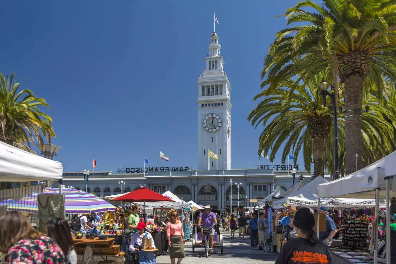 Общий план традиционного американского фермерского рынка: деревянные прилавки со свежими органическими овощами, спелыми ягодами, хлебом ручной работы и горшечными растениями под ярким небом