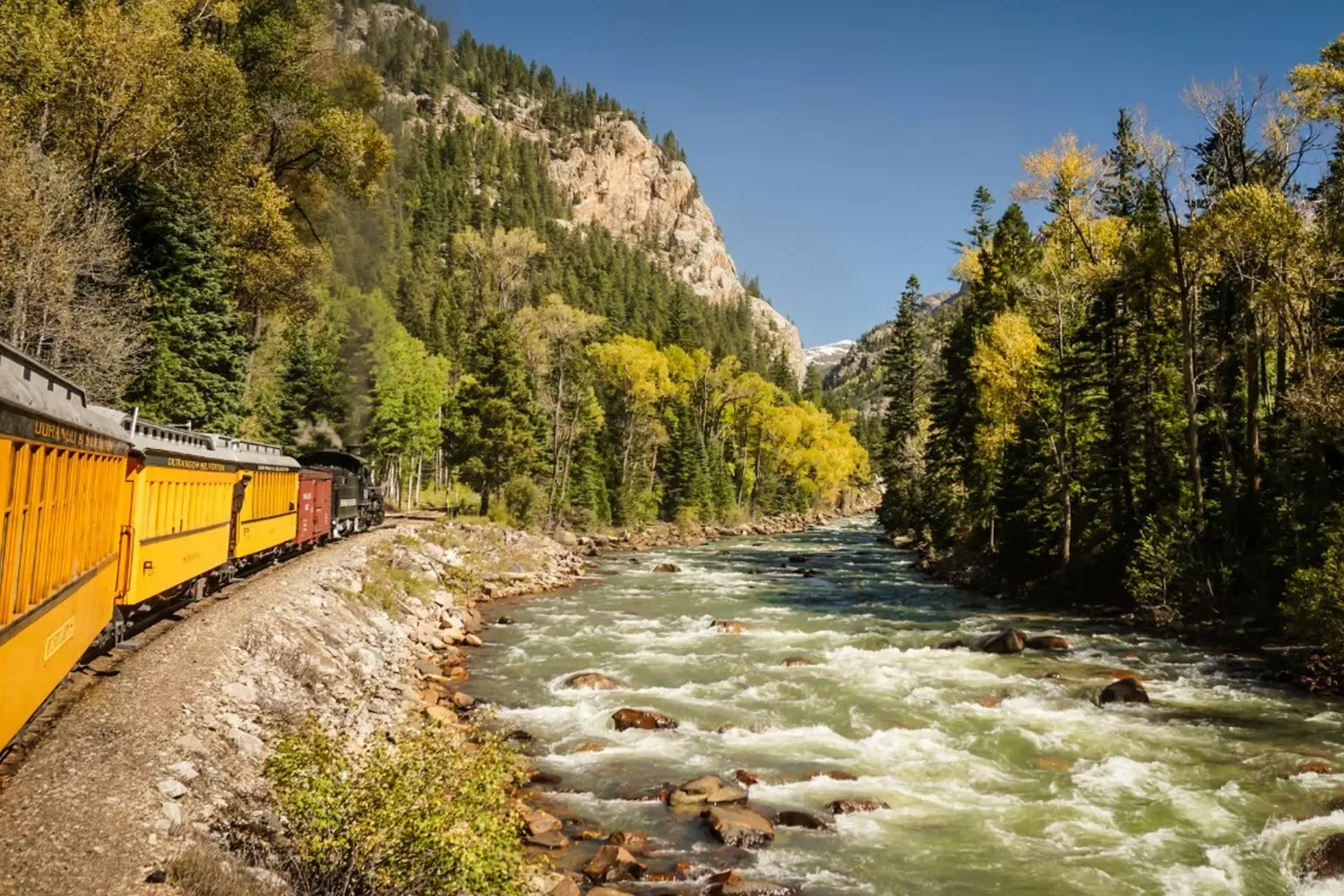The Steel Artery of America: Power of Freight Shipping A long freight train in the USA with a CSX or Union Pacific locomotive hauling containers and tank cars on the mainline