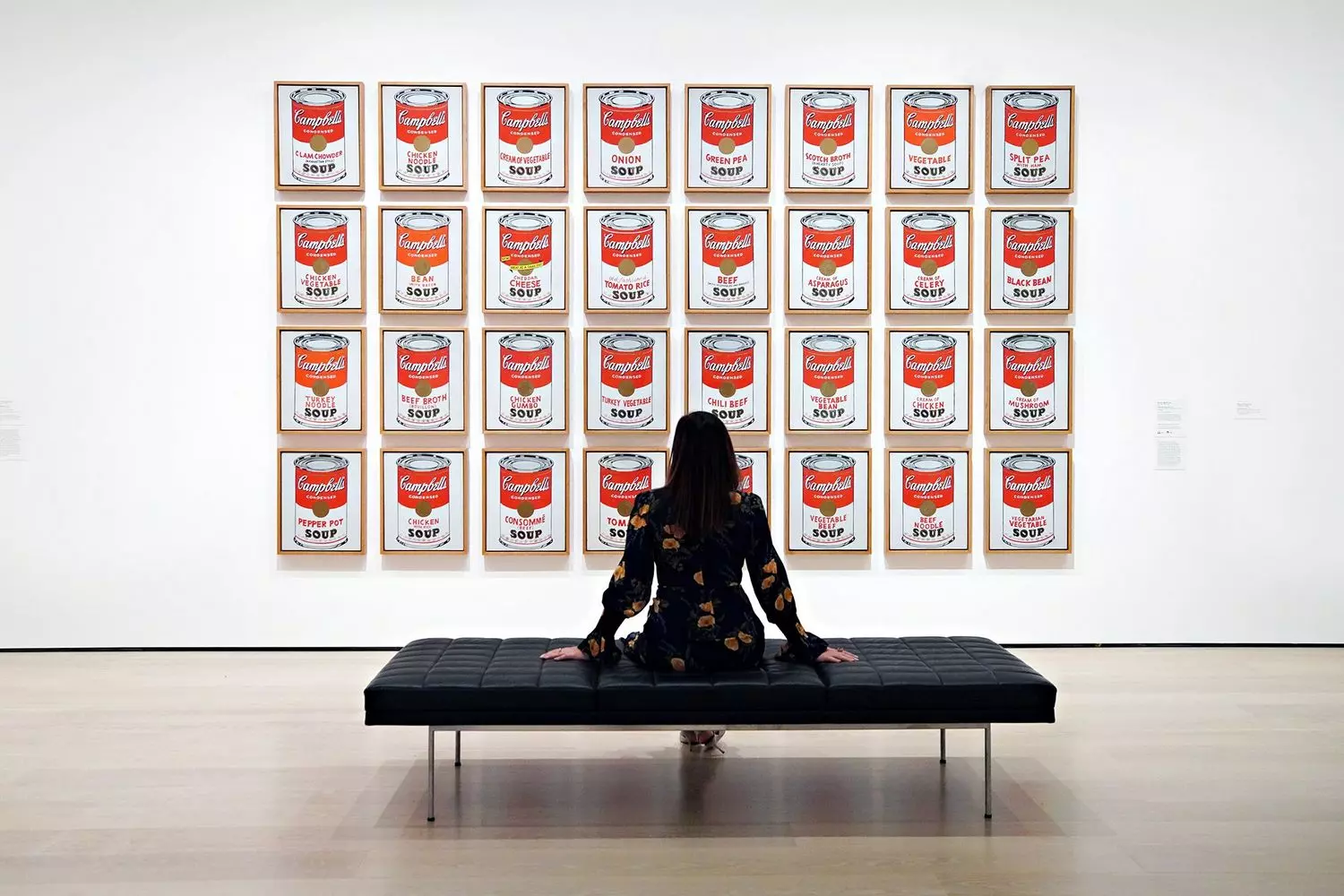 Warhol's Campbell's Soup Cans on Museum Display: The Pop Art Revolution Andy Warhol's iconic 32 Campbell's Soup Cans paintings exhibited in a museum, showing the complete series of identical but individually labeled canvases that challenged traditional art concepts in 1962