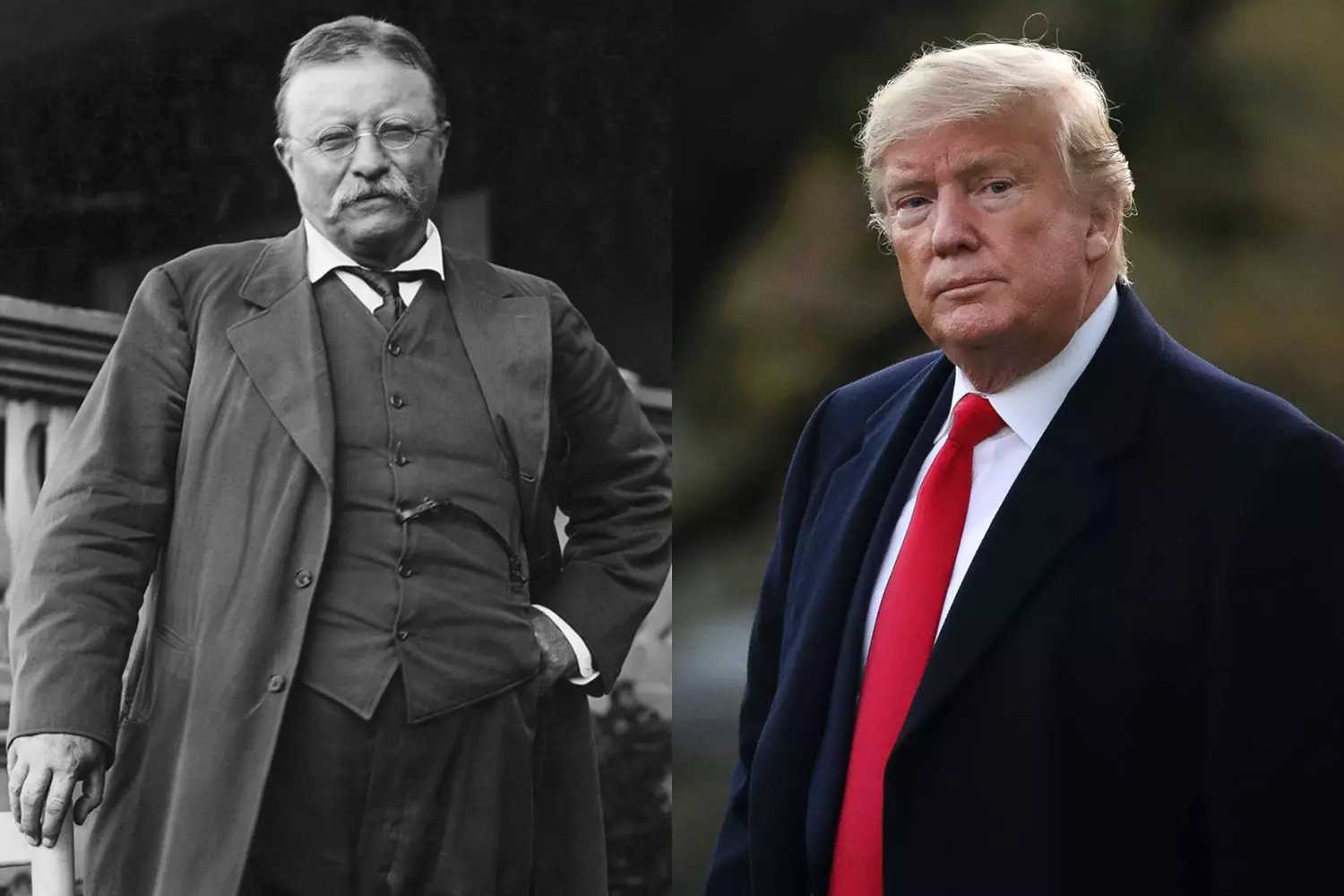 American Presidents — Left to Right: Theodore Roosevelt and Donald Trump — American Butler American Presidents — Photo left to right: Theodore Roosevelt and Donald Trump
