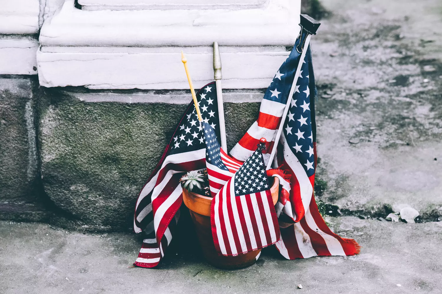 Photo of potted American flags — how to travel in the USA: tips — American Butler