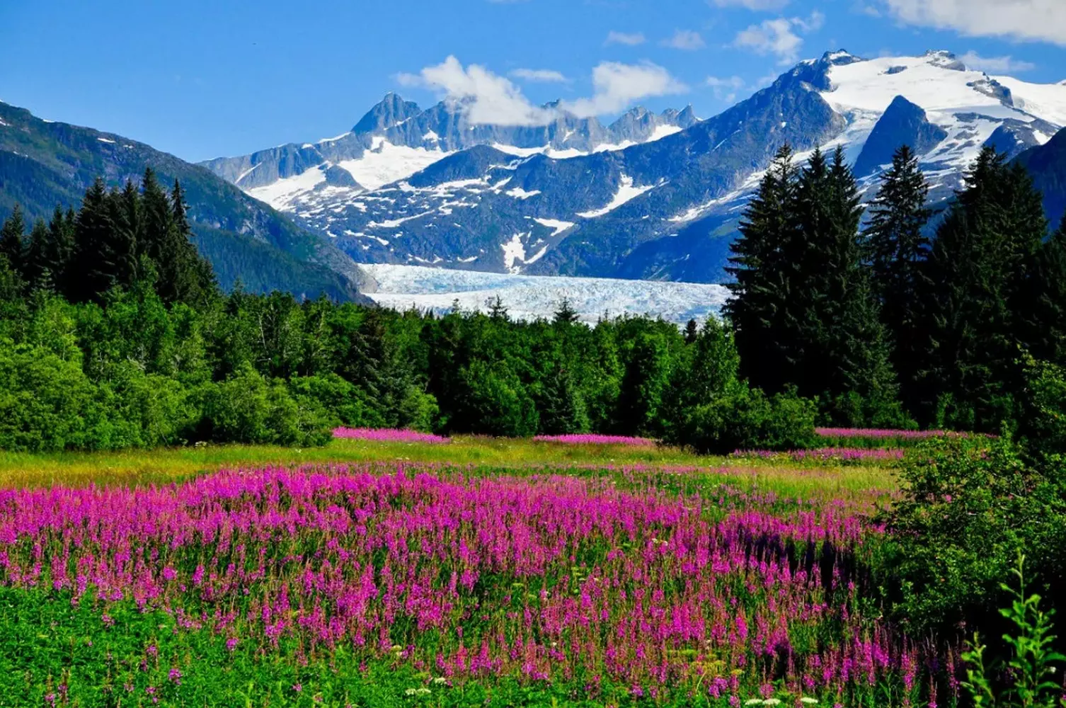 Alaska's Untamed Beauty: Landscapes That Take Your Breath Away Panoramic view of Alaska's rugged wilderness with towering snow-capped mountains, turquoise glaciers, and endless evergreen forests under a dramatic cloudy sky