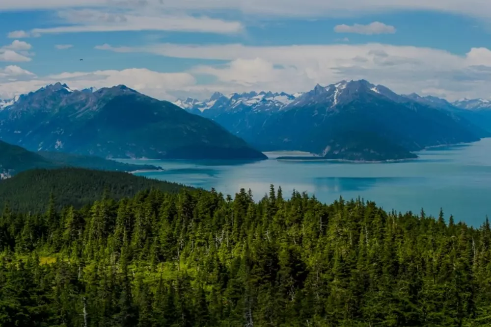 Traveling around the USA: recommendations and routes - American Butler