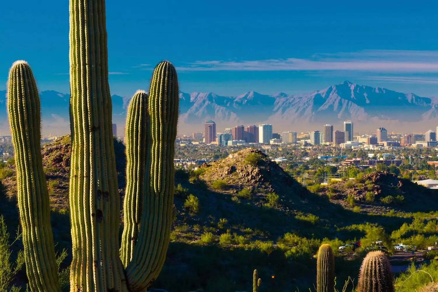 Phoenix, Arizona: Panoramic View of the Valley of the Sun A panoramic view of Phoenix featuring downtown skyscrapers, desert mountains on the horizon, and palm trees under a bright blue sky