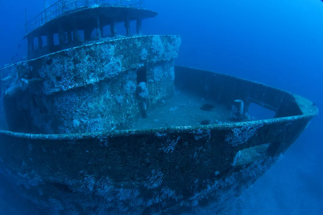 Photo of an underwater park in Florida — American Butler