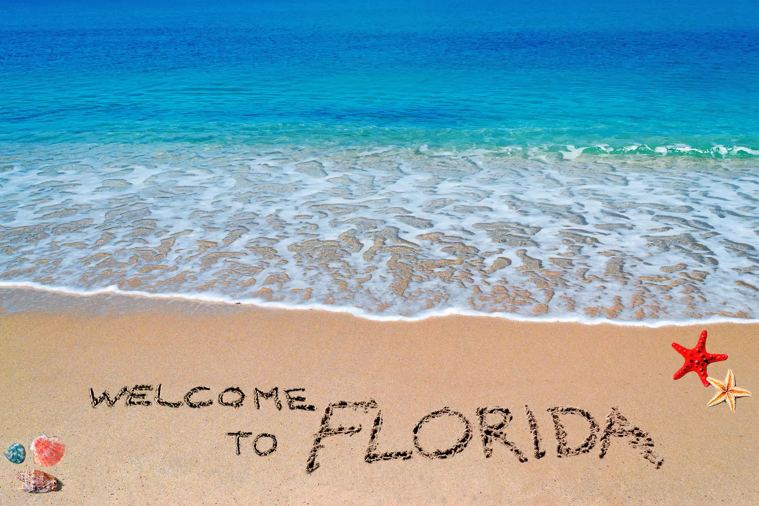 Welcome to Florida — beach photo