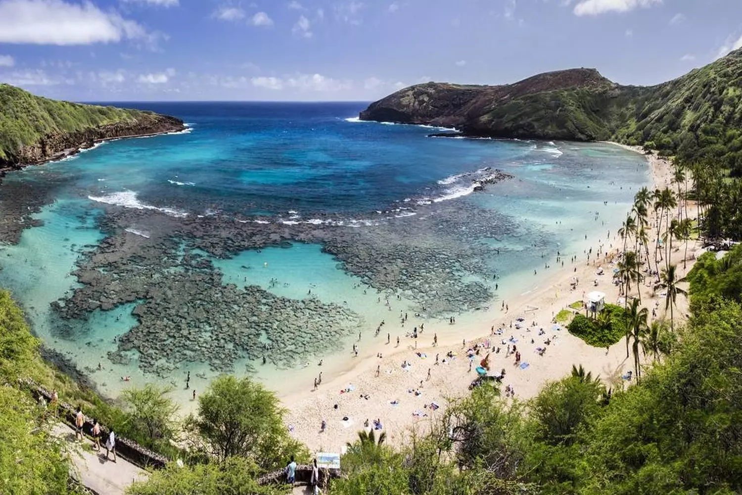 Punaluʻu Black Sand Beach on Hawaii Island A scenic view of Punaluʻu Black Sand Beach on the Big Island of Hawaii, showcasing the striking black volcanic sand, turquoise water, and a green sea turtle resting on the shore
