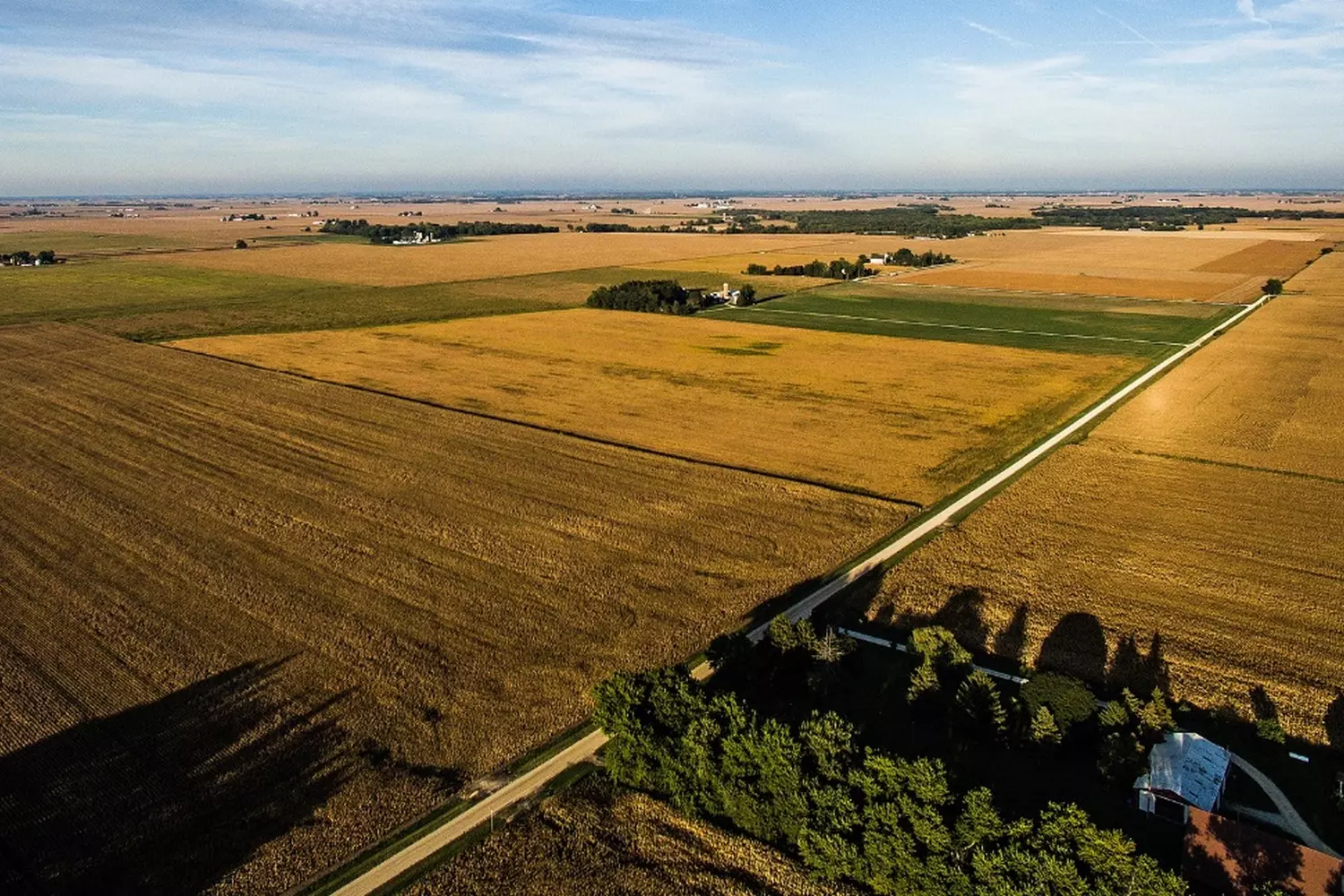 Golden Waves of Illinois: The State's Vast Cornfields from Above Aerial view of endless cornfields in Illinois stretching to the horizon under a blue sky, showcasing the state's agricultural landscape during harvest season