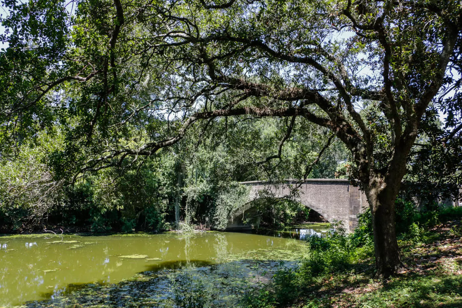 Graceful pedestrian bridge over the lagoon in Audubon Park, New Orleans, among century-old oaks and greenery