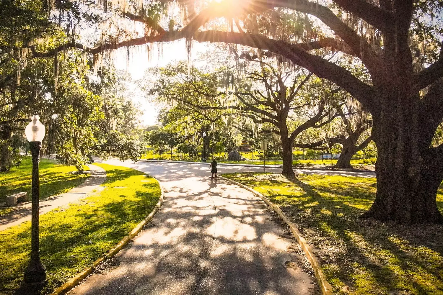 Mysterious avenue of century-old oaks with long strands of Spanish moss in Audubon Park, Louisiana