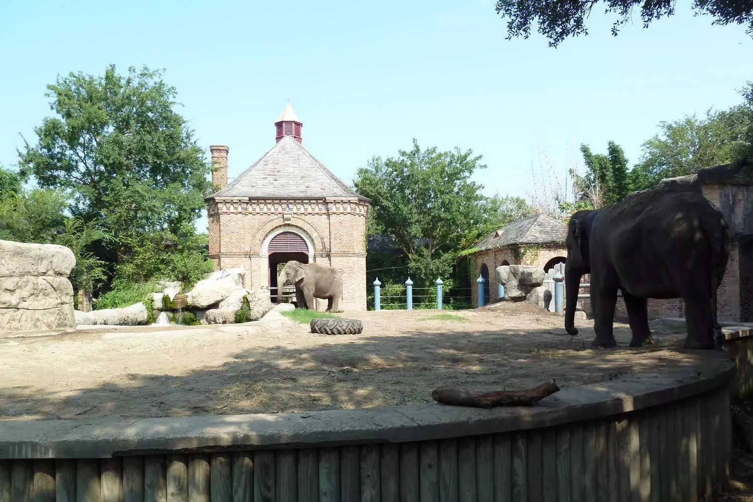 Азиатские слоны в экспозиции «Азиатский дом» (Asian Domain) в зоопарке Audubon Zoo в Новом Орлеане