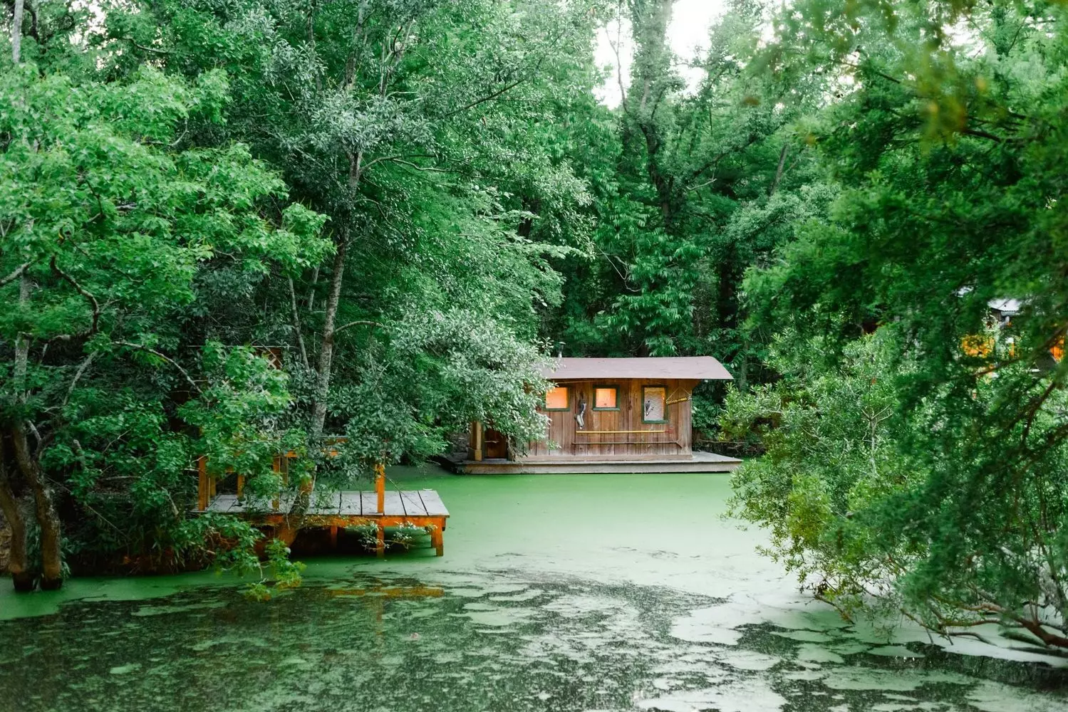 Пруд и хижина траппера в экспозиции «Луизианское болото» (Louisiana Swamp) в зоопарке Audubon Zoo в Новом Орлеане