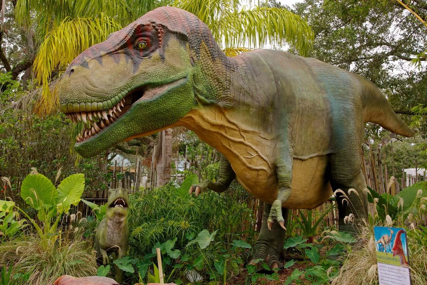Аниматронный тираннозавр рекс (T-Rex) с выставки «Динозавры в зоопарке Audubon» в Новом Орлеане