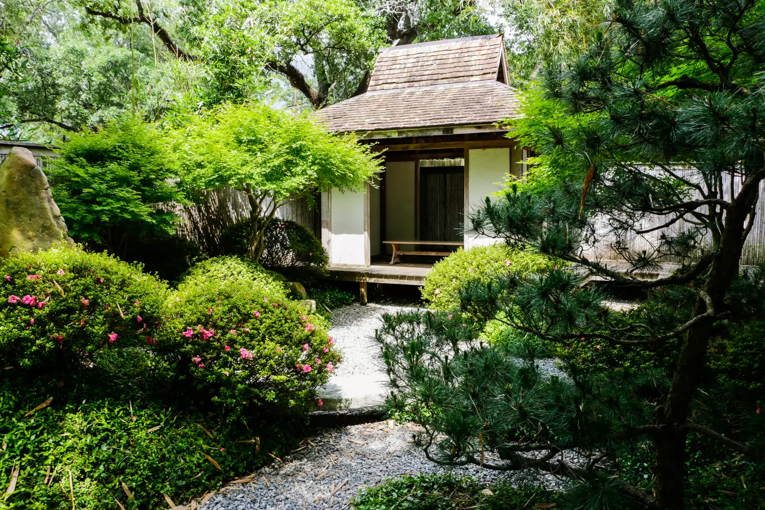 Yakumo Japanese Garden at New Orleans Botanical Garden: traditional rocks, shaped shrubs and bamboo in Zen style, Louisiana