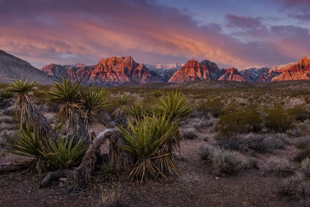 Traveling around the USA: recommendations and routes - American Butler