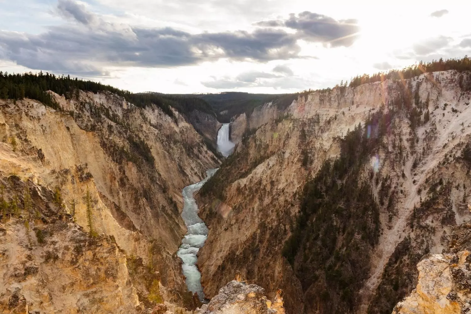 Artist Point: Самый живописный вид на каньон Йеллоустоуна Захватывающий вид с Artist Point на Гранд-Каньон Йеллоустоуна и водопад Лоуэр-Фолс, разноцветные скалы под голубым небом