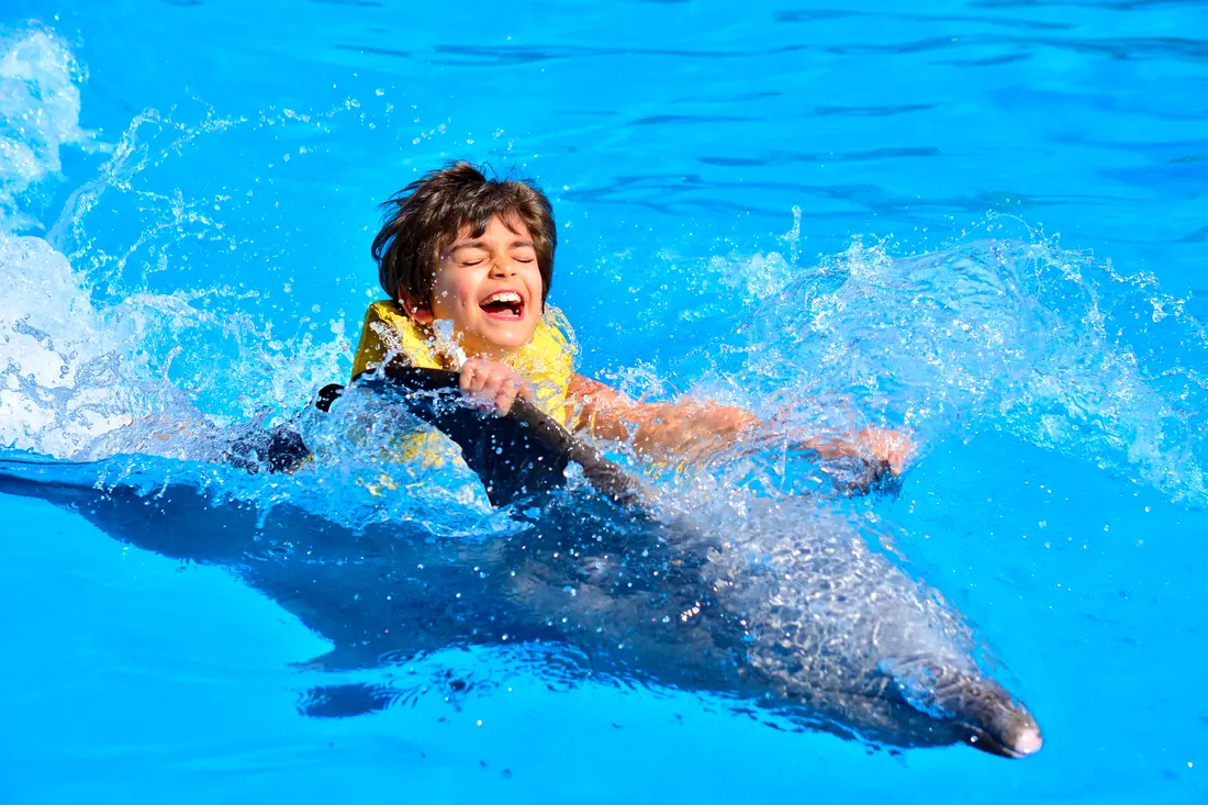 Swimming with dolphins