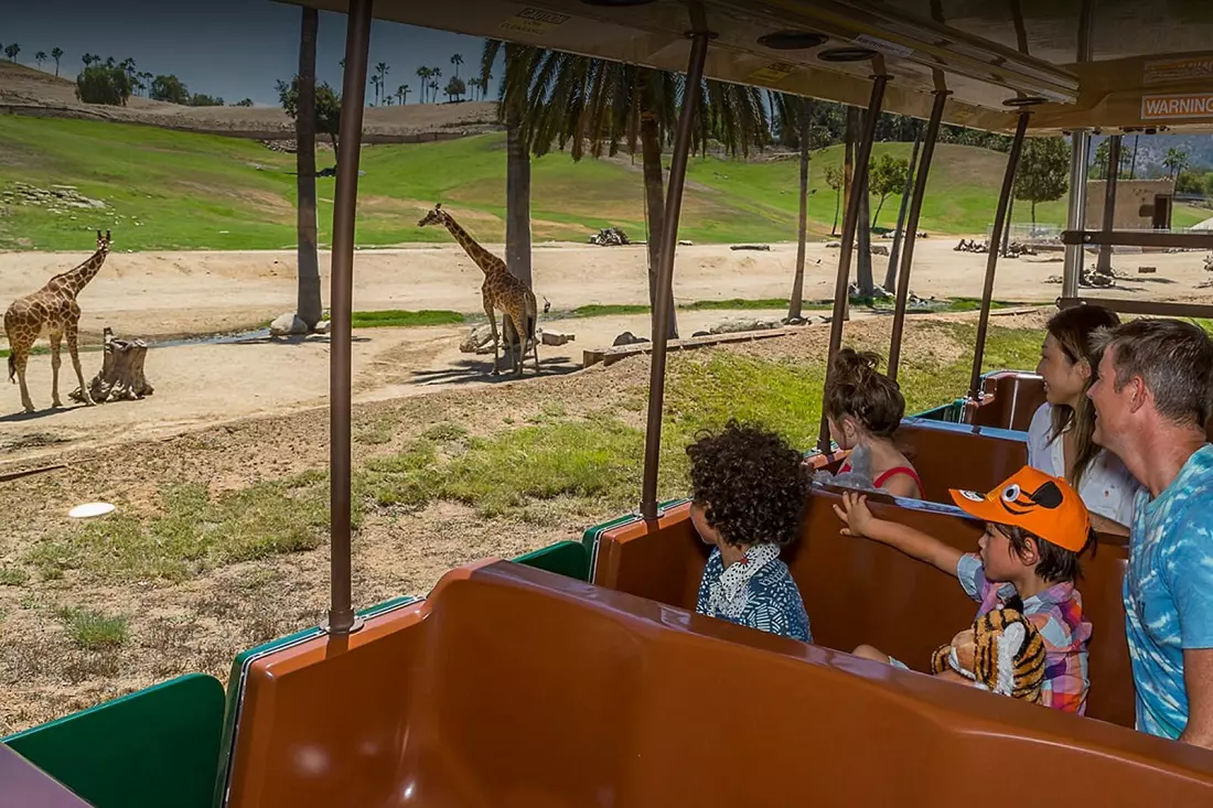 slider - American Butler