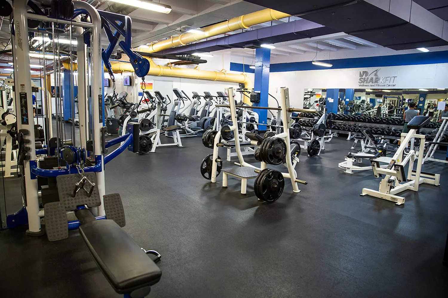 slider - American Butler