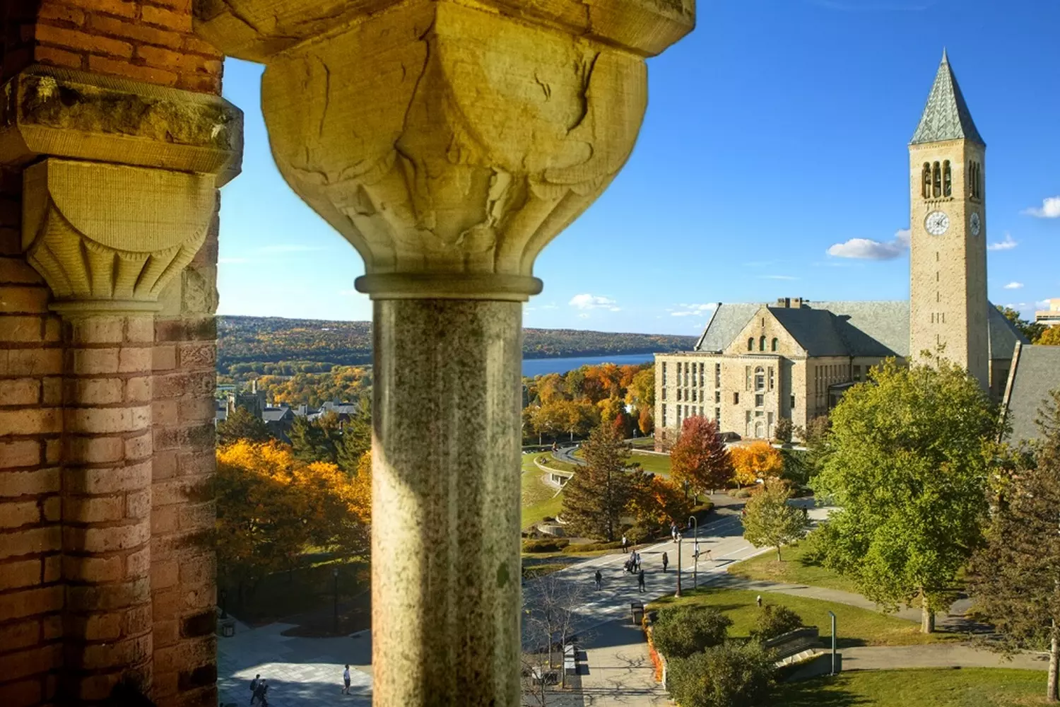 Обучение в Корнеллском университете - American Butler