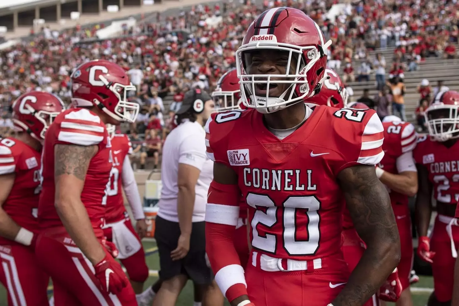 slider - American Butler